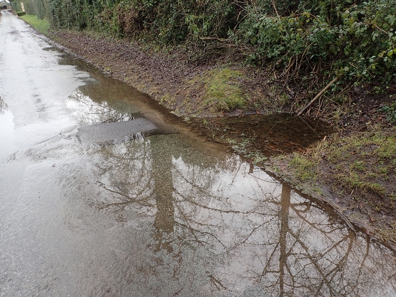 Water emerging from gulley on Lodge Lane